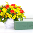 Haz que tus arreglos brillen con la Espuma Floral Deluxe Powerlife. Diseñada para tallos gruesos, ofrece hidratación rápida y menos polvo. Caja con 48 piezas.