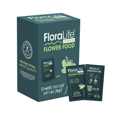 EXPRESS UNIVERSAL 300