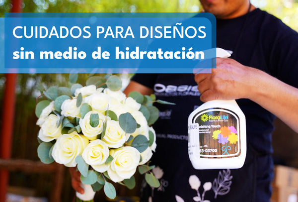 Cuidados para Diseños sin medio de Hidratación