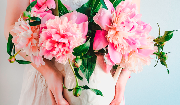 Cuidado de la Flor: ¿Por qué es importante utilizar nutrientes en las flores?