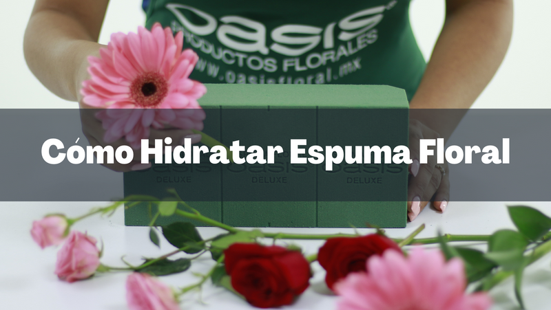 Ilustración de flor de pétalo rosa, blog, flores decorativas