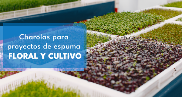 charolas de plastico para proyectos de espuma floral y cultivo
