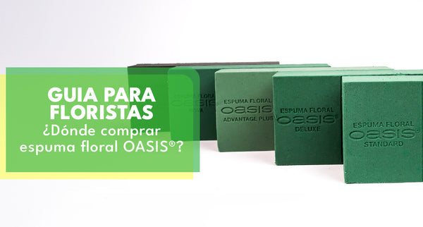 Dónde Comprar Espuma Floral OASIS®: Guía Completa para Floristas