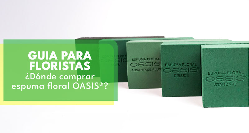 Dónde Comprar Espuma Floral OASIS®: Guía Completa para Floristas