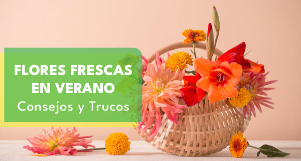 Cómo Mantener Tus Flores Frescas en el Verano: Consejos y Trucos