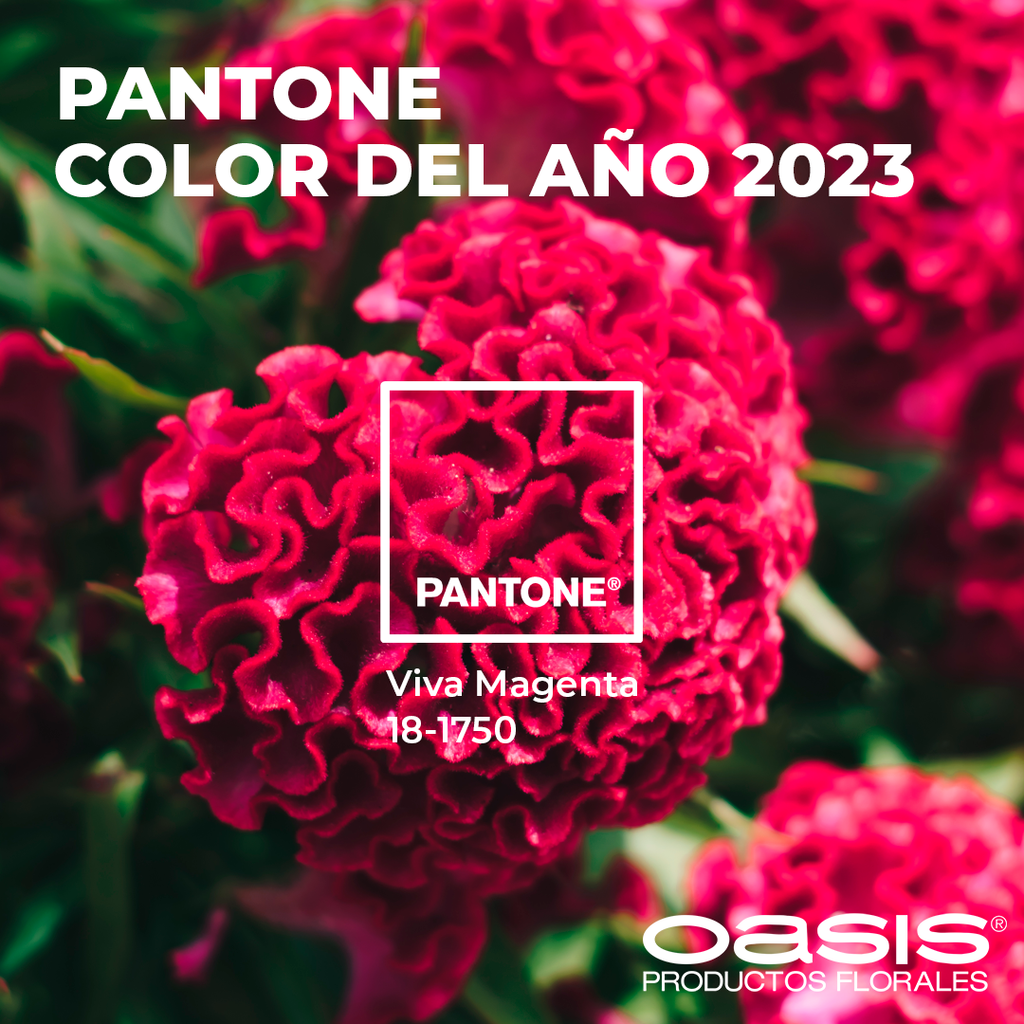 Viva Magenta is the color of the year 2023 - Verdissimo