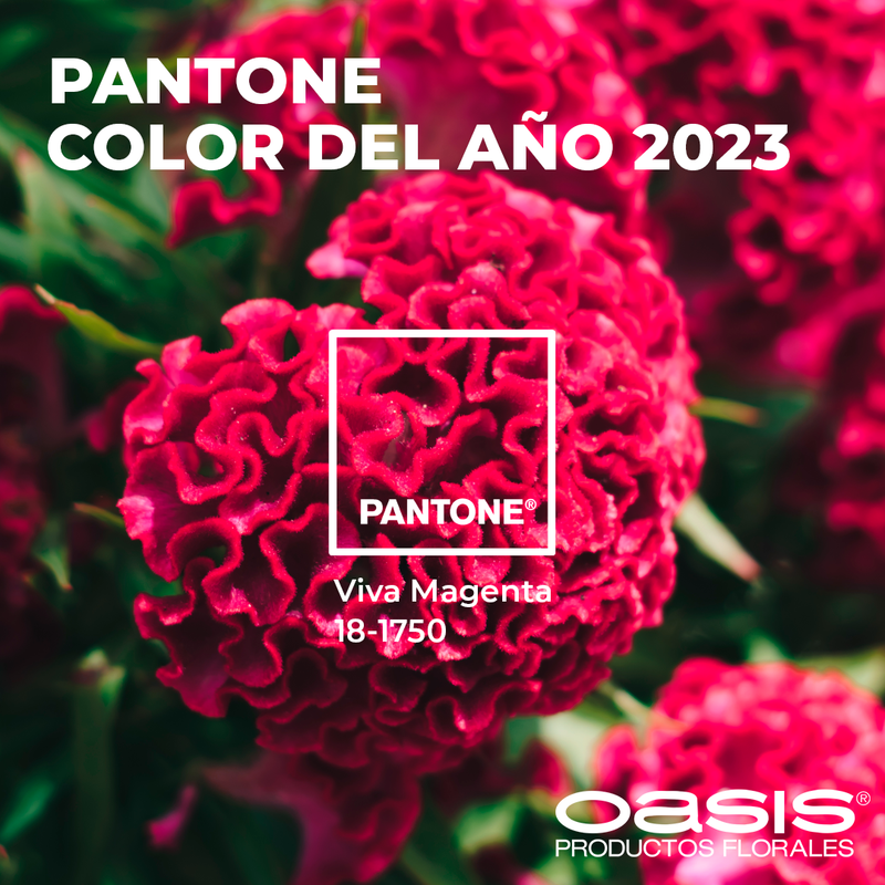 Pantone Viva Magenta: Alegría, Intensidad y Autoexpresión para el 2023.