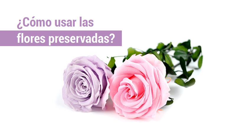 ¿Cómo usar las flores preservadas?