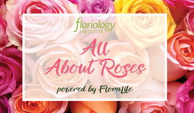 Todo Sobre las Rosas