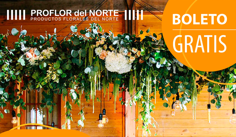 Concurso Boleto Curso de Diseños Florales Aéreos