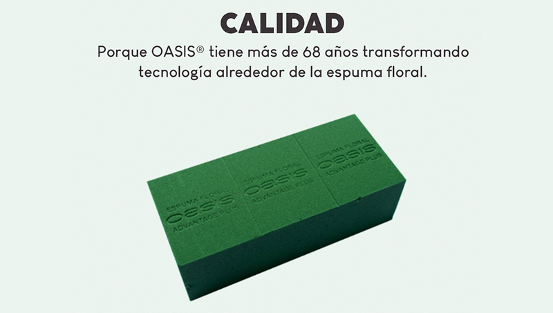 Hidratar Espuma Floral OASIS Hidratar Espuma Floral OASIS