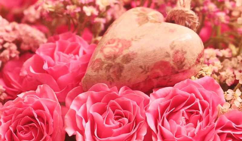 Rosas para San Valentín, Cuidado y Manejo.