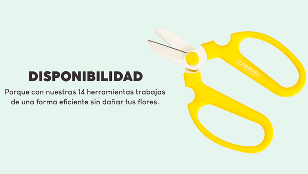 Las Herramientas Ideales para el Diseñador Floral