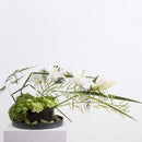 Transforma tus diseños con la espuma floral negra OASIS® Deluxe. Ideal para fondos elegantes y composiciones con follaje, garantiza calidad y creatividad en cada arreglo. Caja con 48 piezas.