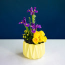 Diseña con estilo usando la espuma floral negra OASIS® Deluxe. Ideal para composiciones con follaje, su fondo negro elegante y consistencia firme garantizan calidad en cada arreglo. Caja con 48 piezas.