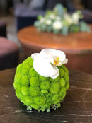 Optimiza tu diseño floral con la espuma OASIS® Deluxe precortada. Malla protectora incluida y soporte firme. Escoge entre 4.5”, 6” y 8” de diámetro.