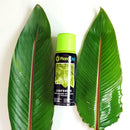 Floralife Leafshine, abrillantador de follajes no tóxico que realza la belleza de tus plantas. Limpia y deja un acabado brillante. Disponible en presentaciones de 750ml, 600ml y 400ml.