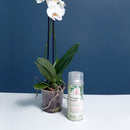 SPRAY SELLADOR PARA FOLLAJE DESIGN MASTER