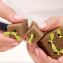 PLACA 156 Y 225 HORTICUBOS -ESPUMA 60