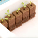 PLACA 156 Y 225 HORTICUBOS -ESPUMA 60