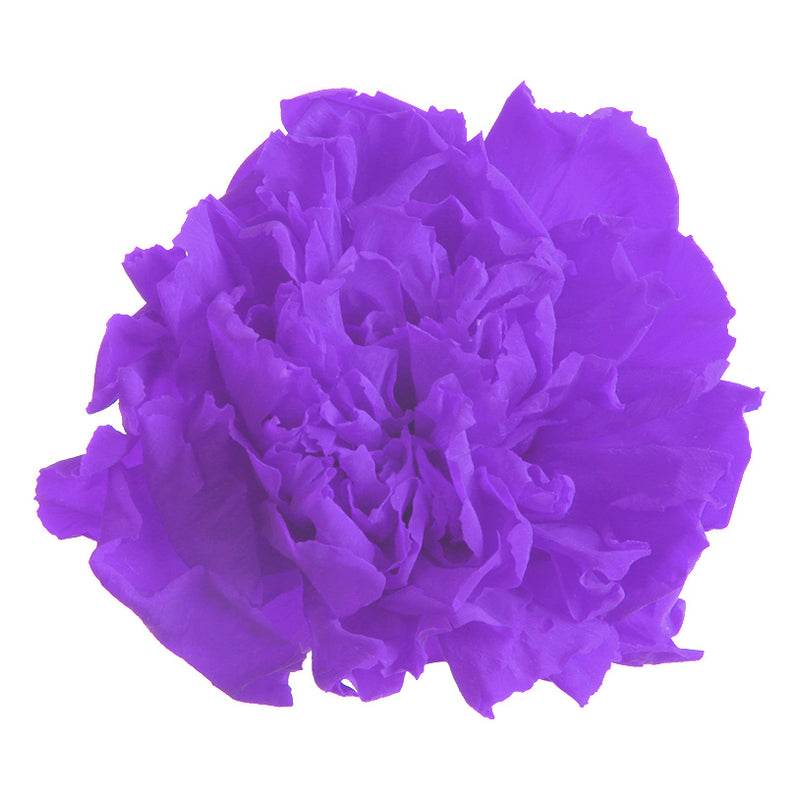 CLAVEL B