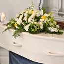 CAJA CUBRE CAJA CHICO (6)