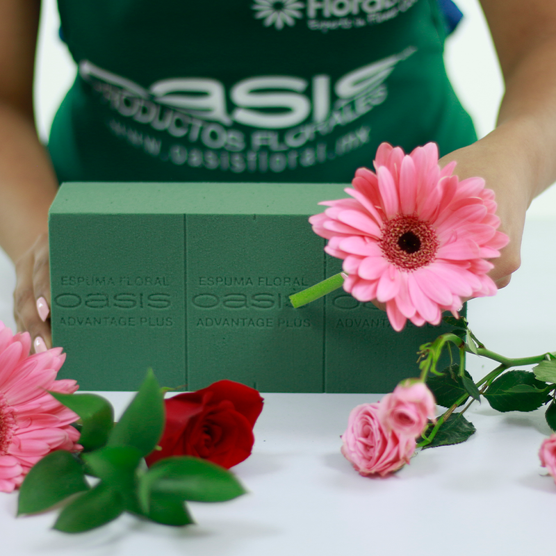 La espuma Advantage combina calidad y precio accesible, ideal para arreglos florales variados. Diseñada por OASIS® para un rendimiento óptimo. Caja con 48 piezas.