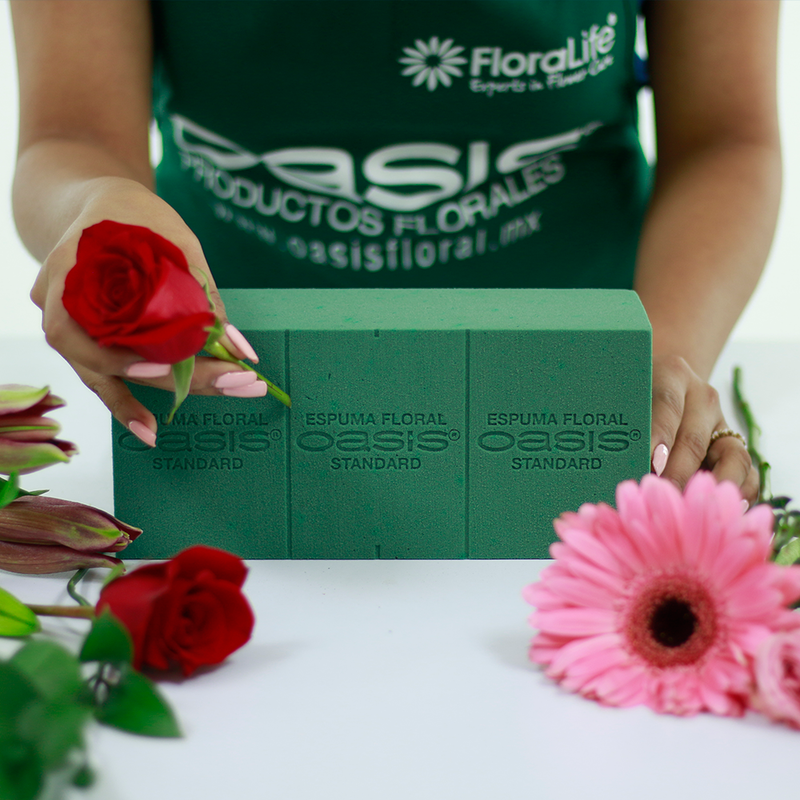 Crea arreglos florales con estilo y precisión usando la espuma floral Standard. Diseñada para tallos finos, mantiene las flores en su lugar con facilidad. Caja con 48 piezas.