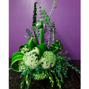 Floralife Leafshine, spray limpiador y abrillantador no tóxico para plantas de interior y arreglos florales. Elimina polvo y suciedad, dejando un brillo natural. Disponible en 750ml, 600ml y 400ml.