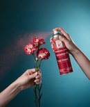 SPRAY DE COLORES