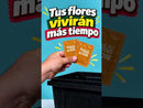 EZ DOSE FLORALIFE