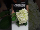 TIJERA IPPON OASIS PROFESIONAL