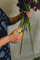 TIJERA BUNCHCUTTER OASIS