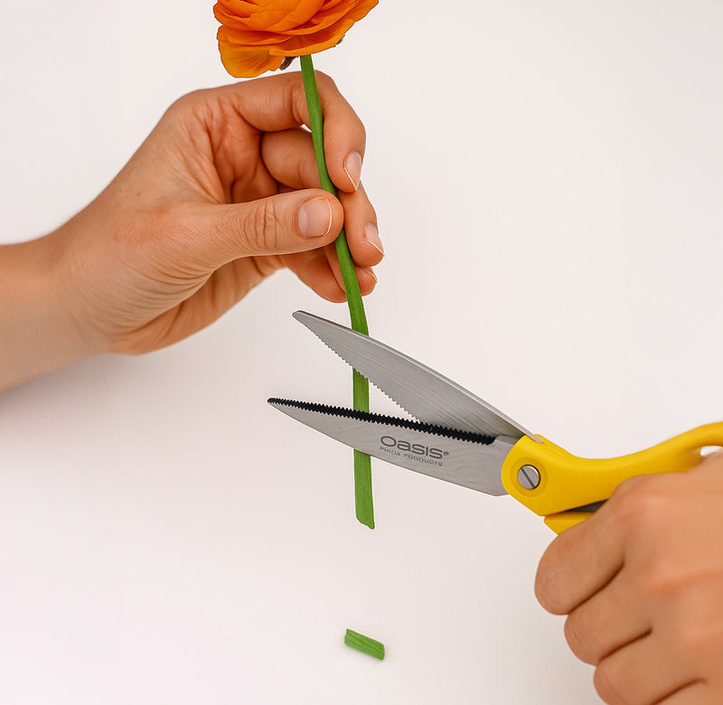 Tijeras florales XITUO de primera de acero inoxida... – Grandado Tijeras florales XITUO de primera de acero inoxida... – Grandado